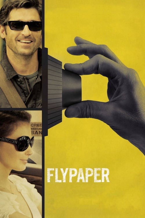 دانلود فیلم Flypaper – فلایپر